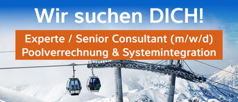 Pa Aktuelles Stelleninserat Experte Senior Consultant