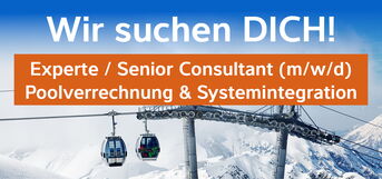 Pa Aktuelles Stelleninserat Experte Senior Consultant